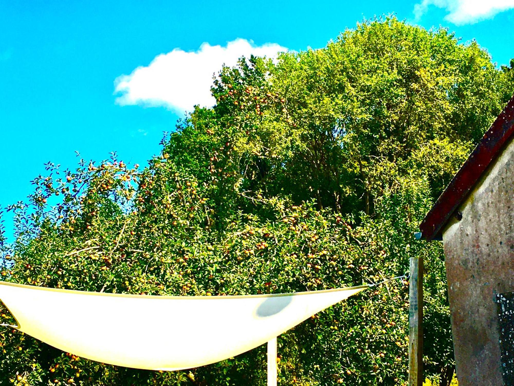 Bed and Breakfast La Mirabelle Saint-Pierre-de-Fursac Exteriér fotografie